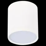 Накладной светильник ST-Luce Rene ST113.532.05 Цвет арматуры белый Цвет плафонов белый от ImperiumLoft