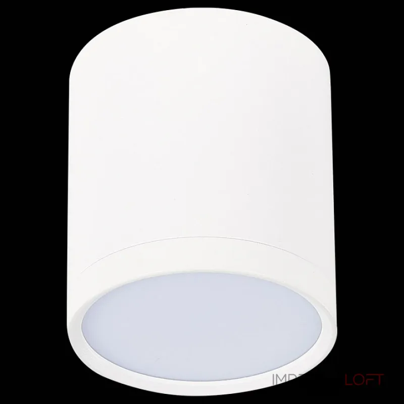 Накладной светильник ST-Luce Rene ST113.532.05 Цвет арматуры белый Цвет плафонов белый от ImperiumLoft