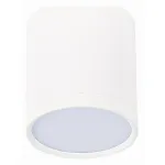 Накладной светильник ST-Luce Rene ST113.532.05 Цвет арматуры белый Цвет плафонов белый от ImperiumLoft