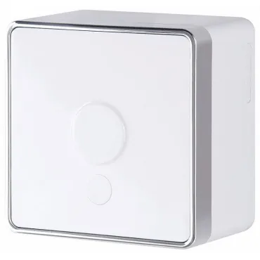 Розетка для вывод кабеля Werkel Gallant (белый) a051580