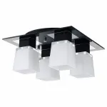 Потолочная люстра Lussole Lente LSC-2507-04 