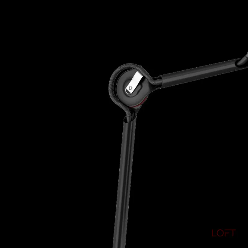 Торшер Lightstar Loft 765717 Цвет арматуры черный Цвет плафонов черный от ImperiumLoft