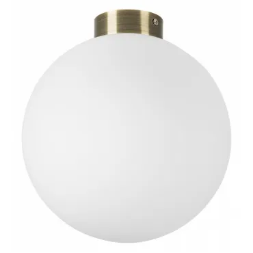 Накладной светильник Lightstar Globo 812031 Цвет арматуры коричневый Цвет плафонов белый Накладной светильник Lightstar Globo 812031 Цвет арматуры коричневый Цвет плафонов белый