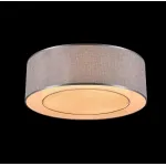 Потолочный светильник Maytoni MOD613CL-04GR