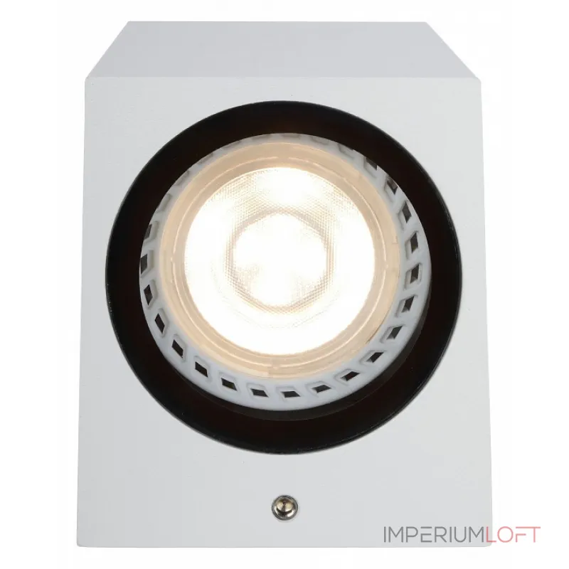 Накладной светильник Lucide Zaro 69800/01/31 от ImperiumLoft