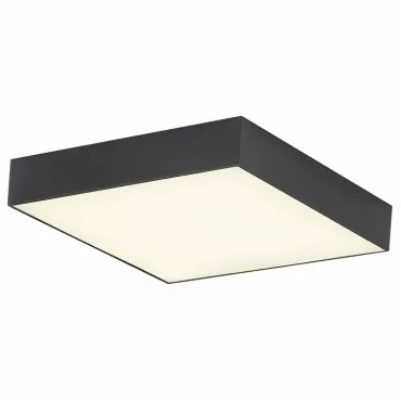 Потолочный светильник Citilux Тао CL712X242N Потолочный светильник Citilux Тао CL712X242N