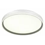 Потолочный светильник Sonex Savi 7631/DL