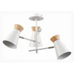 Потолочная люстра EVOLUCE Alfeo SLE1252-502-03