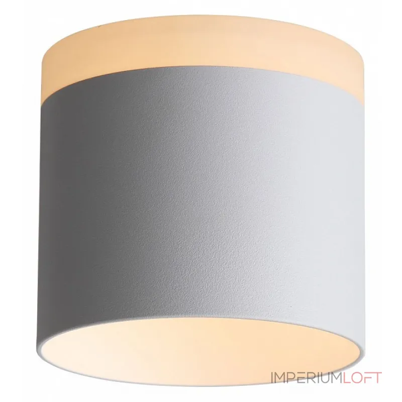 Накладной светильник ST-Luce Panaggio ST102.502.12 Цвет арматуры белый от ImperiumLoft Накладной светильник ST-Luce Panaggio ST102.502.12 Цвет арматуры белый от ImperiumLoft