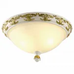 Потолочный светильник Arte Lamp Benessere A9570PL-2WG 