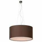 Подвесной светильник TopDecor Crocus Glade Crocus Glade S3 01 05g 