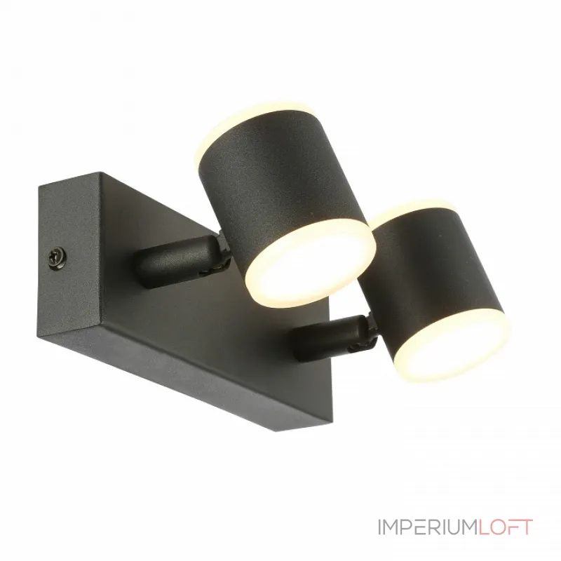 Спот ST-Luce Formolla SL1597.401.02 Цвет арматуры черный от ImperiumLoft
