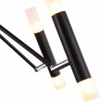 Потолочная люстра Maytoni MOD620CL-16B