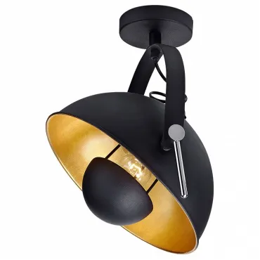 Спот Lussole Bollo GRLSP-9825 Спот Lussole Bollo GRLSP-9825