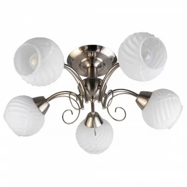 Потолочная люстра TopLight Dana TL3560X-05SN Потолочная люстра TopLight Dana TL3560X-05SN