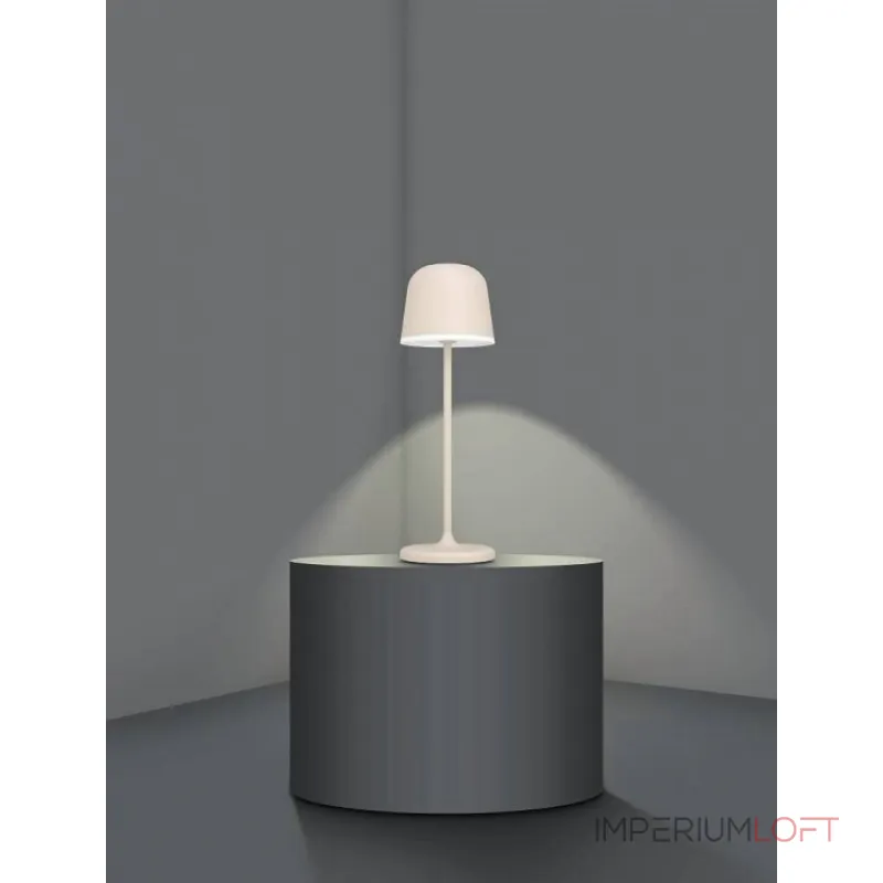 Настольная лампа декоративная Eglo ПРОМО Mannera 900461 от ImperiumLoft