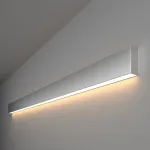 Накладной светильник Elektrostandard 101-100-30-128 a041483 Цвет арматуры серебро от ImperiumLoft