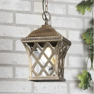 Подвесной светильник Elektrostandard Cassiopeya H a025297