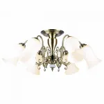 Потолочная люстра Lussole Anaheim LSP-8026