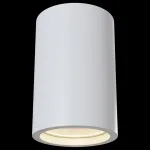 Накладной светильник Maytoni Conik gyps C003CW-01W Цвет арматуры белый Цвет плафонов белый от ImperiumLoft