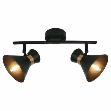 Спот Arte Lamp Baltimore A1406AP-2BK Цвет арматуры золото Цвет плафонов черный