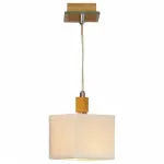 Подвесной светильник Lussole Montone LSF-2506-01 