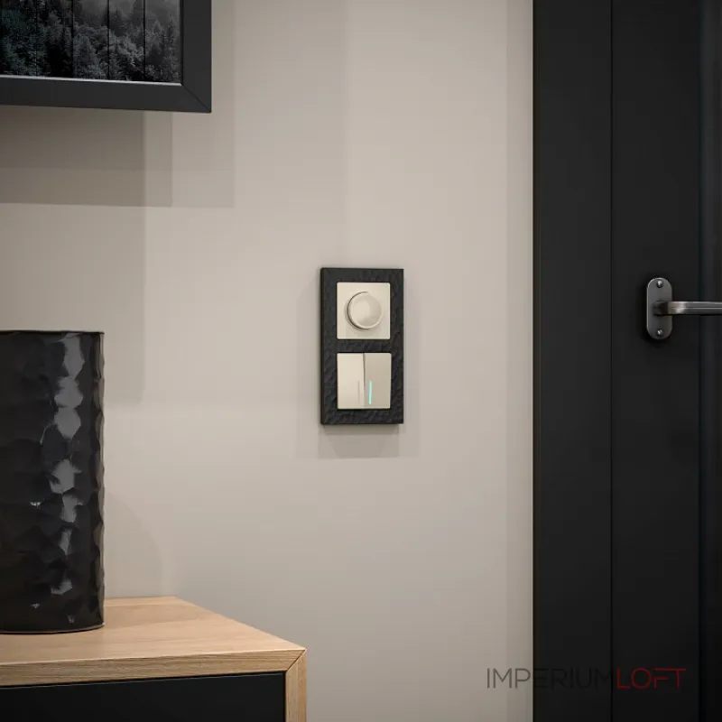 Выключатель двухклавишный с подсветкой без рамки Werkel W112 2 W1122103 от ImperiumLoft Выключатель двухклавишный с подсветкой без рамки Werkel W112 2 W1122103 от ImperiumLoft