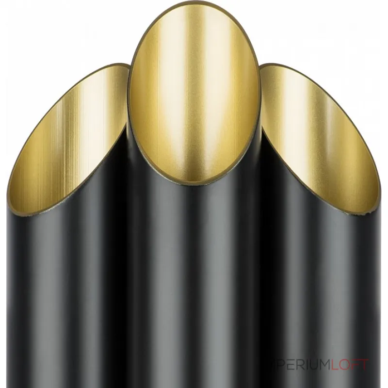 Бра Lightstar Siena 720667 Цвет арматуры черный Цвет плафонов черный от ImperiumLoft