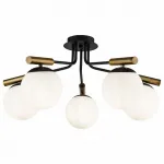 Потолочная люстра Freya FR5011CL-05B