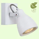 Спот Lussole Ban GRLSP-9822 от ImperiumLoft