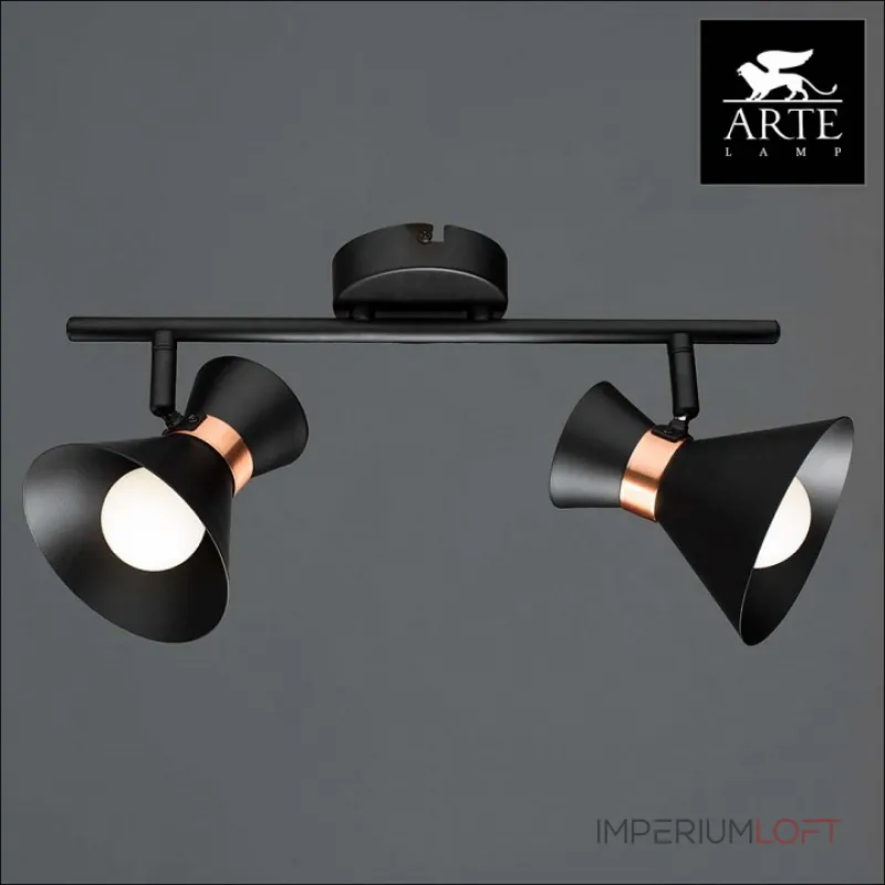 Спот Arte Lamp Baltimore A1406AP-2BK Цвет арматуры золото Цвет плафонов черный от ImperiumLoft Спот Arte Lamp Baltimore A1406AP-2BK Цвет арматуры золото Цвет плафонов черный от ImperiumLoft