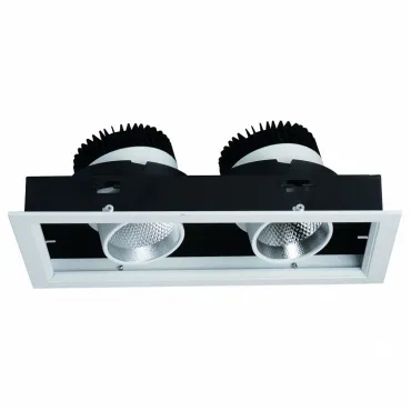 Встраиваемый светильник Arte Lamp Cardani A1712PL-2WH Цвет арматуры белый Цвет плафонов белый