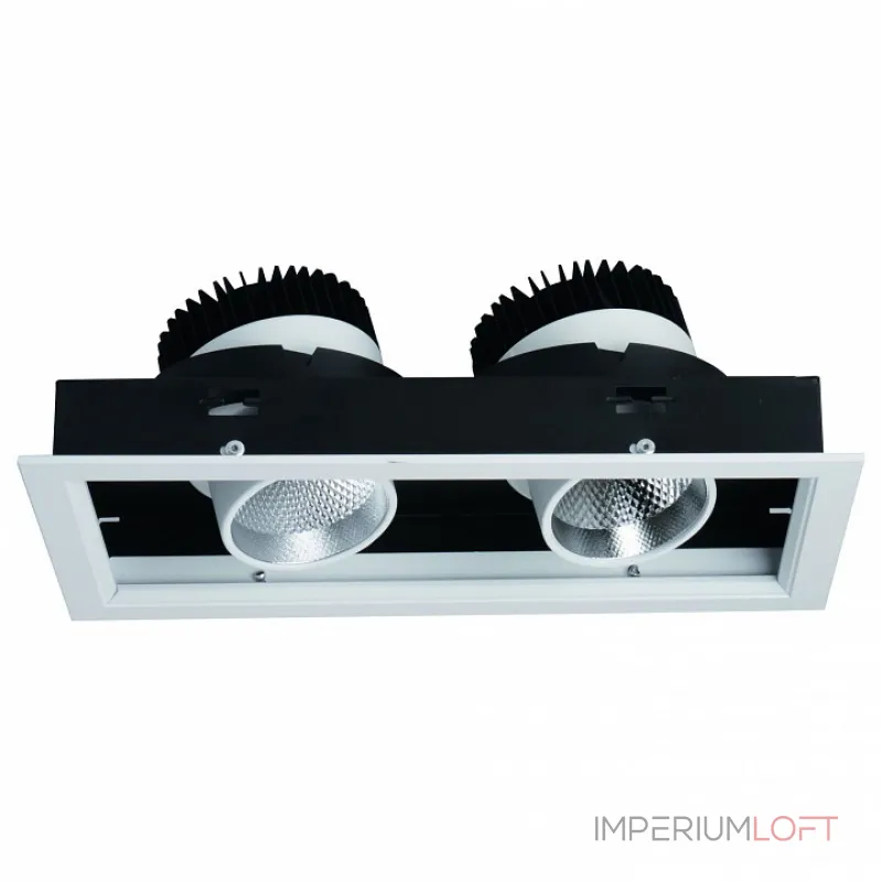 Встраиваемый светильник Arte Lamp Cardani A1712PL-2WH Цвет арматуры белый Цвет плафонов белый от ImperiumLoft Встраиваемый светильник Arte Lamp Cardani A1712PL-2WH Цвет арматуры белый Цвет плафонов белый от ImperiumLoft