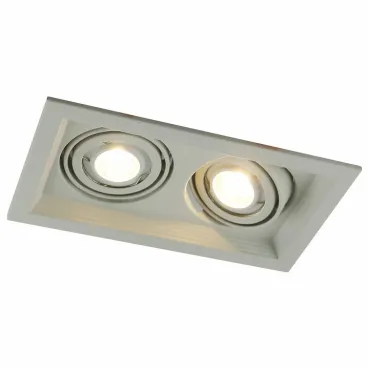 Встраиваемый светильник Arte Lamp 6661 A6661PL-2WH Цвет арматуры белый Цвет плафонов черно-белый