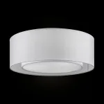 Потолочный светильник Maytoni MOD617CL-04GR