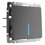 Выключатель проходной одноклавишный с подсветкой без рамки Werkel графит рифленый W1112104 от ImperiumLoft