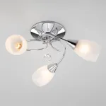 Потолочная люстра 30100/3