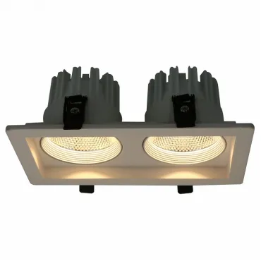 Встраиваемый светильник Arte Lamp Privato A7007PL-2WH Цвет арматуры белый Цвет плафонов прозрачный