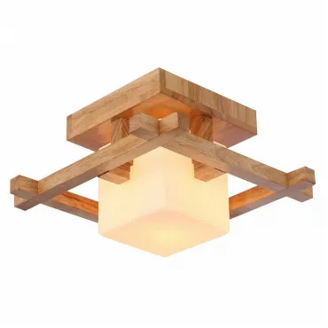 Потолочный светильник Arte Lamp Woods A8252PL-1BR 