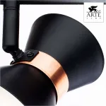 Спот Arte Lamp Baltimore A1406AP-2BK Цвет арматуры золото Цвет плафонов черный от ImperiumLoft