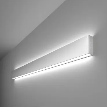 Накладной светильник Elektrostandard 101-100-40-103 a041470 Цвет арматуры серебро