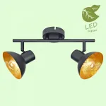 Спот Lussole Louisville GRLSP-9974 от ImperiumLoft