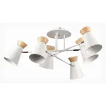 Потолочная люстра EVOLUCE Alfeo SLE1252-502-06