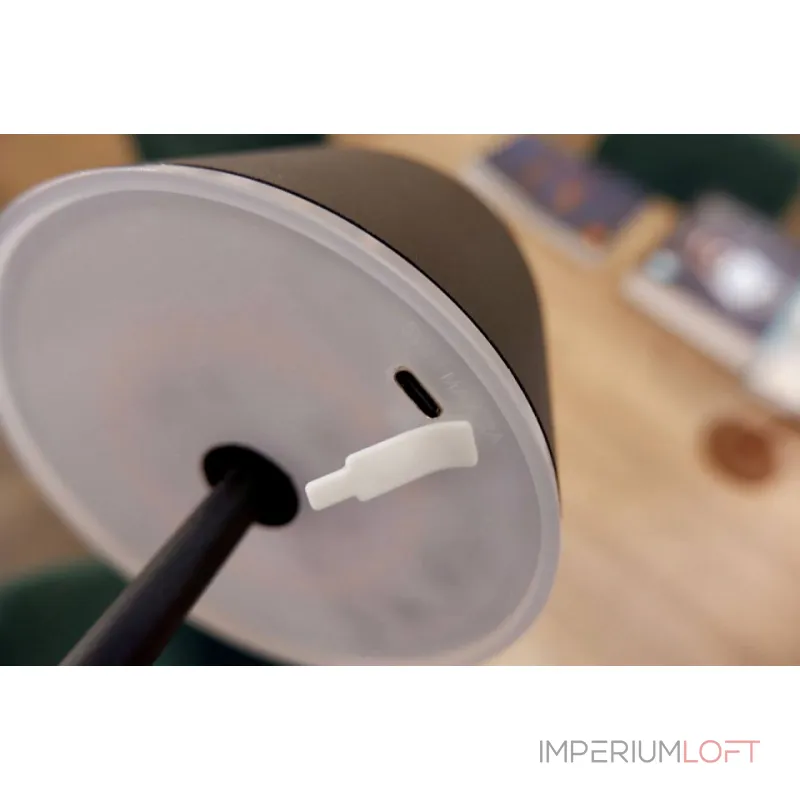 Настольная лампа декоративная Eglo ПРОМО Mannera 900461 от ImperiumLoft