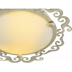 Потолочный светильник Arte Lamp Riccioli A1060PL-2WG