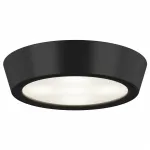 Накладной светильник Lightstar Urbano mini 214772 Цвет арматуры черный от ImperiumLoft