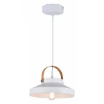 Подвесной светильник Wendi TL1225H-01WH Toplight