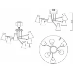 Потолочная люстра EVOLUCE Alfeo SLE1252-502-06