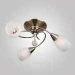 Потолочная люстра 30100/3