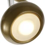 Спот TopLight Carissa TL1244Y-03SG Цвет арматуры золото Цвет плафонов золото от ImperiumLoft